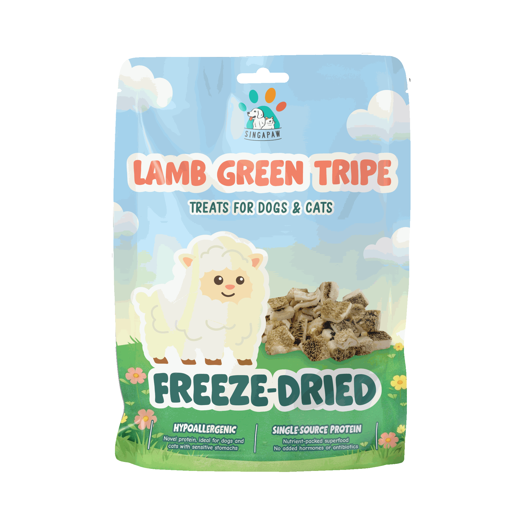 Best Pet Groomer